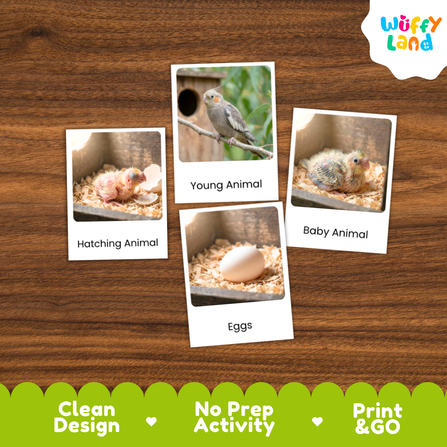 Four educational animal activity cards about eggs and young animals arranged on a wooden background, with the 'Wuffy Land' logo in the top right and promotional text along the bottom.