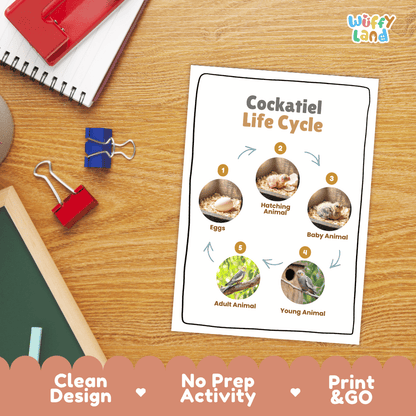 Cockatiel Life Cycle Poster and Cut and Paste Worksheet Activity