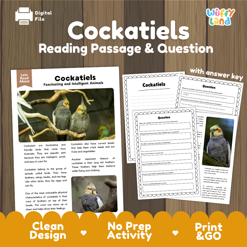 Digital reading activity product for cockatiels, featuring a reading passage, comprehension questions, and an answer key displayed on a wood-textured background with promotional text at the bottom.