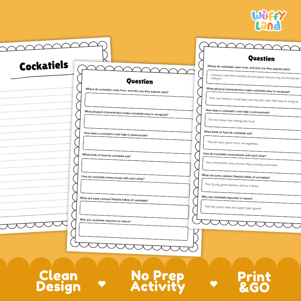 Three printable worksheet pages about cockatiels arranged on a yellow background, with the title 'Cockatiels' on the left sheet and question prompts on the center and right sheets. The logo 'Wiffly Land' appears in the top right, and text along the bottom reads 'Clean Design', 'No Prep Activity', and 'Print & GO'.