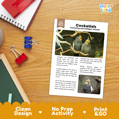 Cockatiels Reading Passage and Comprehension Questions Worksheets with Answer Key