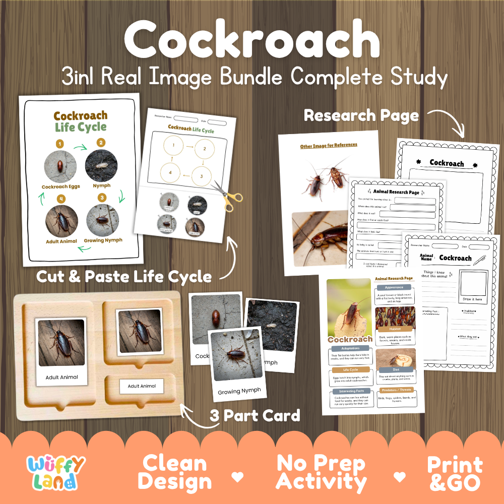 Cockroach 3-in-1 real image bundle complete study cover showing cut and paste life cycle, 3 part cards, and research pages