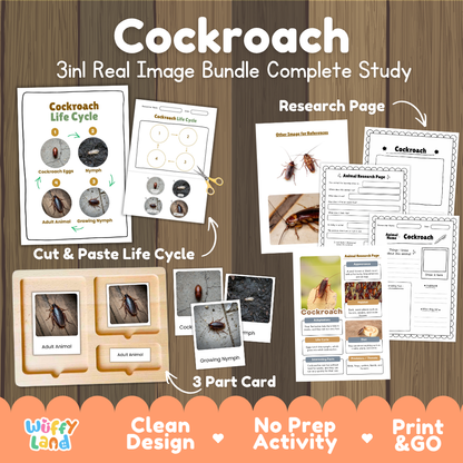 Cockroach 3-in-1 real image bundle complete study cover showing cut and paste life cycle, 3 part cards, and research pages