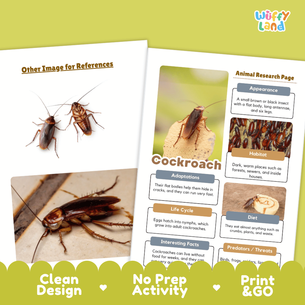 Cockroach Animal Research Page Worksheets
