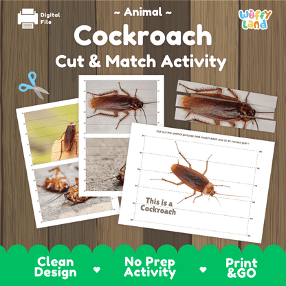 Cockroach Cut and Match Activity Printables Worksheets