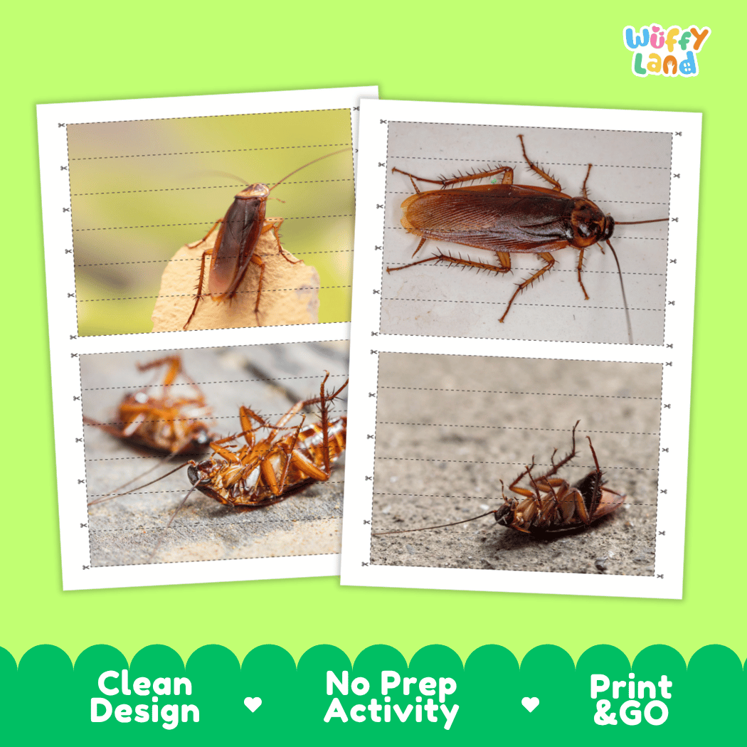 Cockroach Cut and Match Activity Printables Worksheets