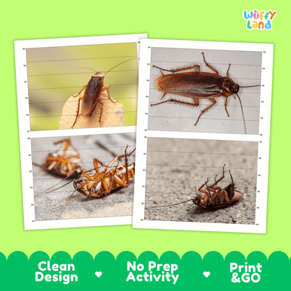 Cockroach Cut and Match Activity Printables Worksheets