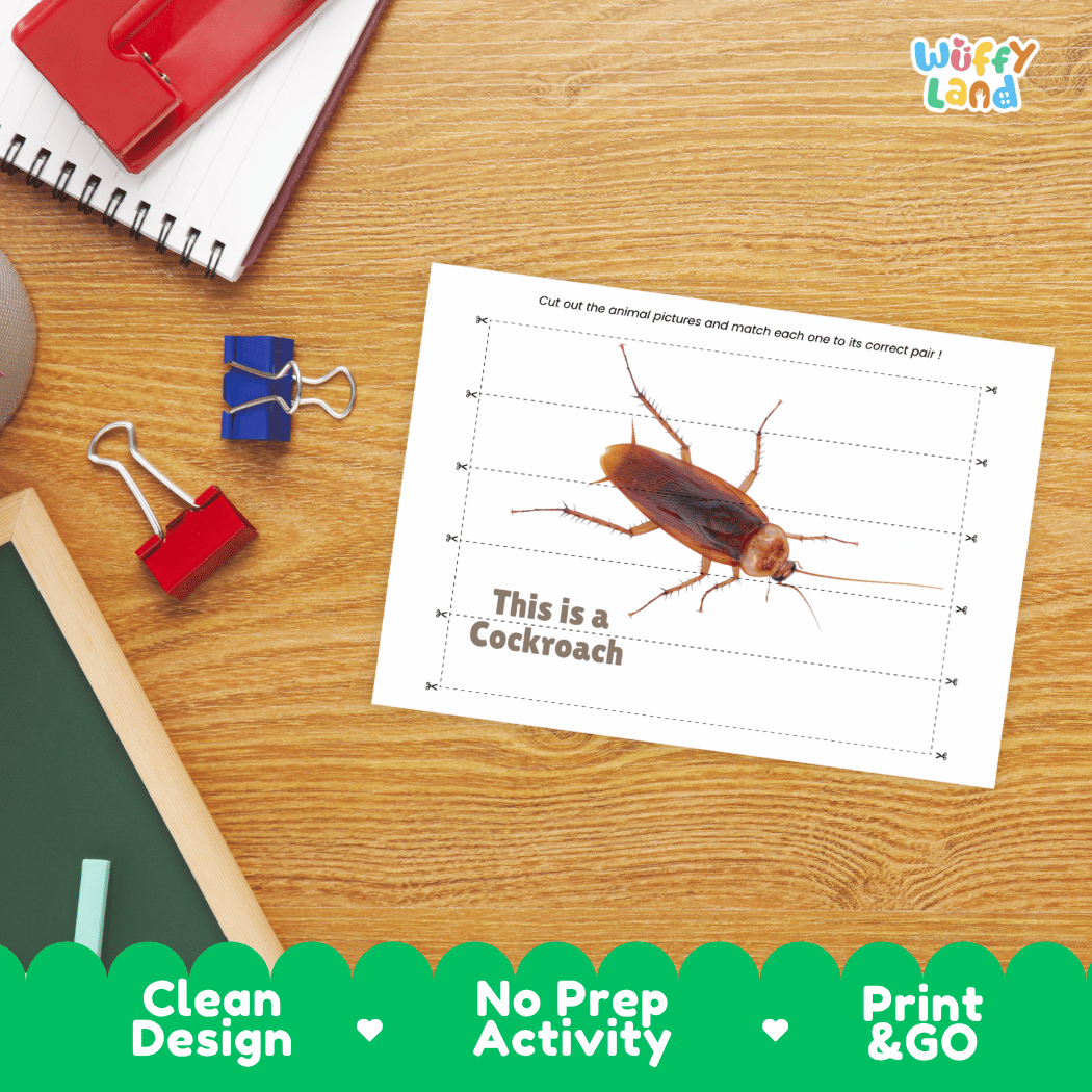 Cockroach Cut and Match Activity Printables Worksheets