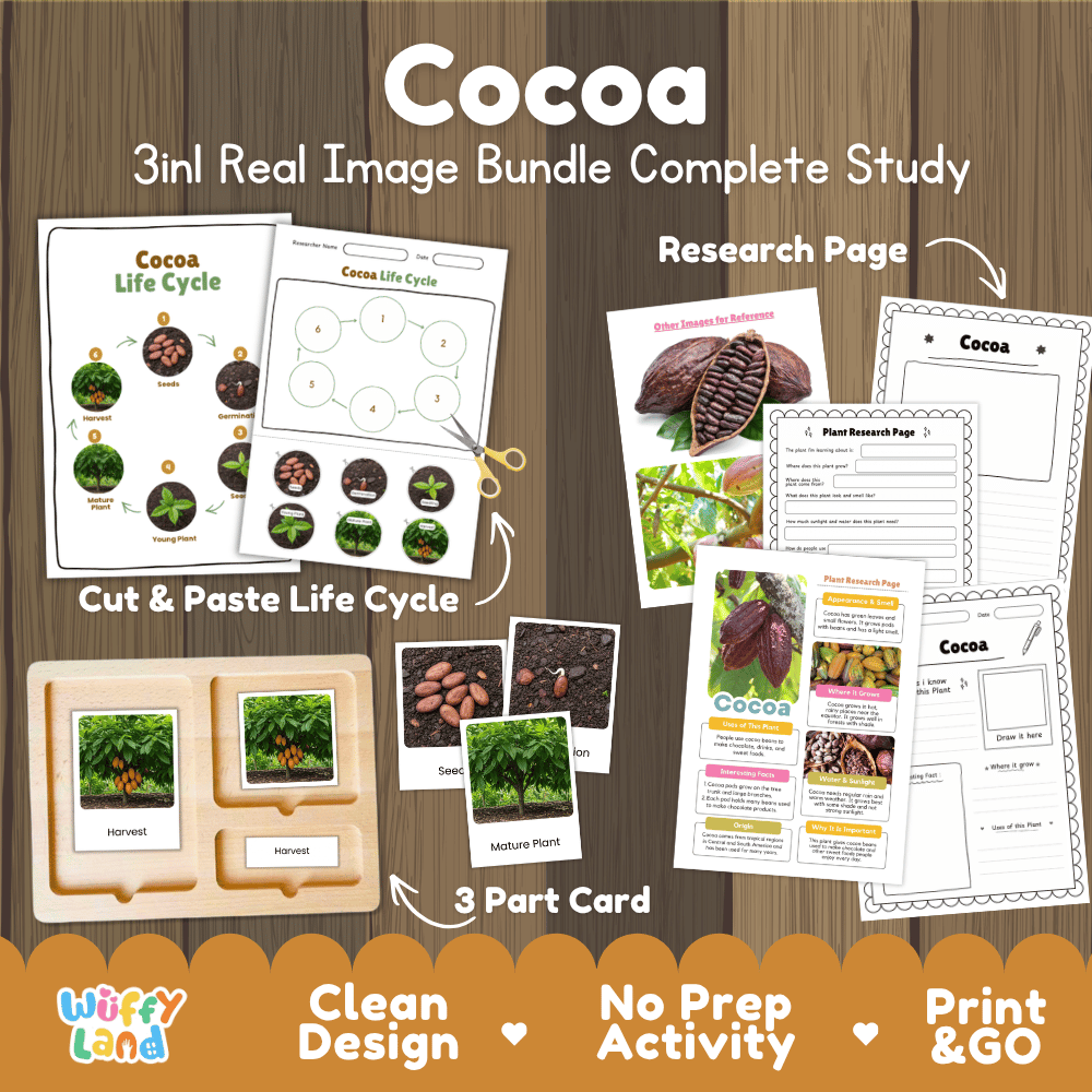 Cocoa tree 3in1 real image bundle complete study printable featuring life cycle cut and paste worksheets, Montessori 3-part cards, and research pages