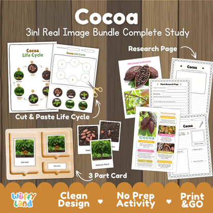Cocoa tree 3in1 real image bundle complete study printable featuring life cycle cut and paste worksheets, Montessori 3-part cards, and research pages