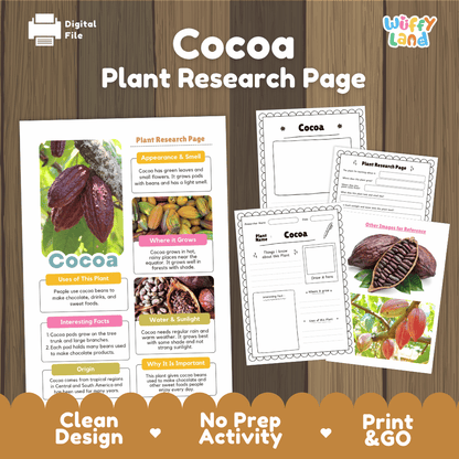 Cocoa Plant Research Page Worksheets and Information Poster