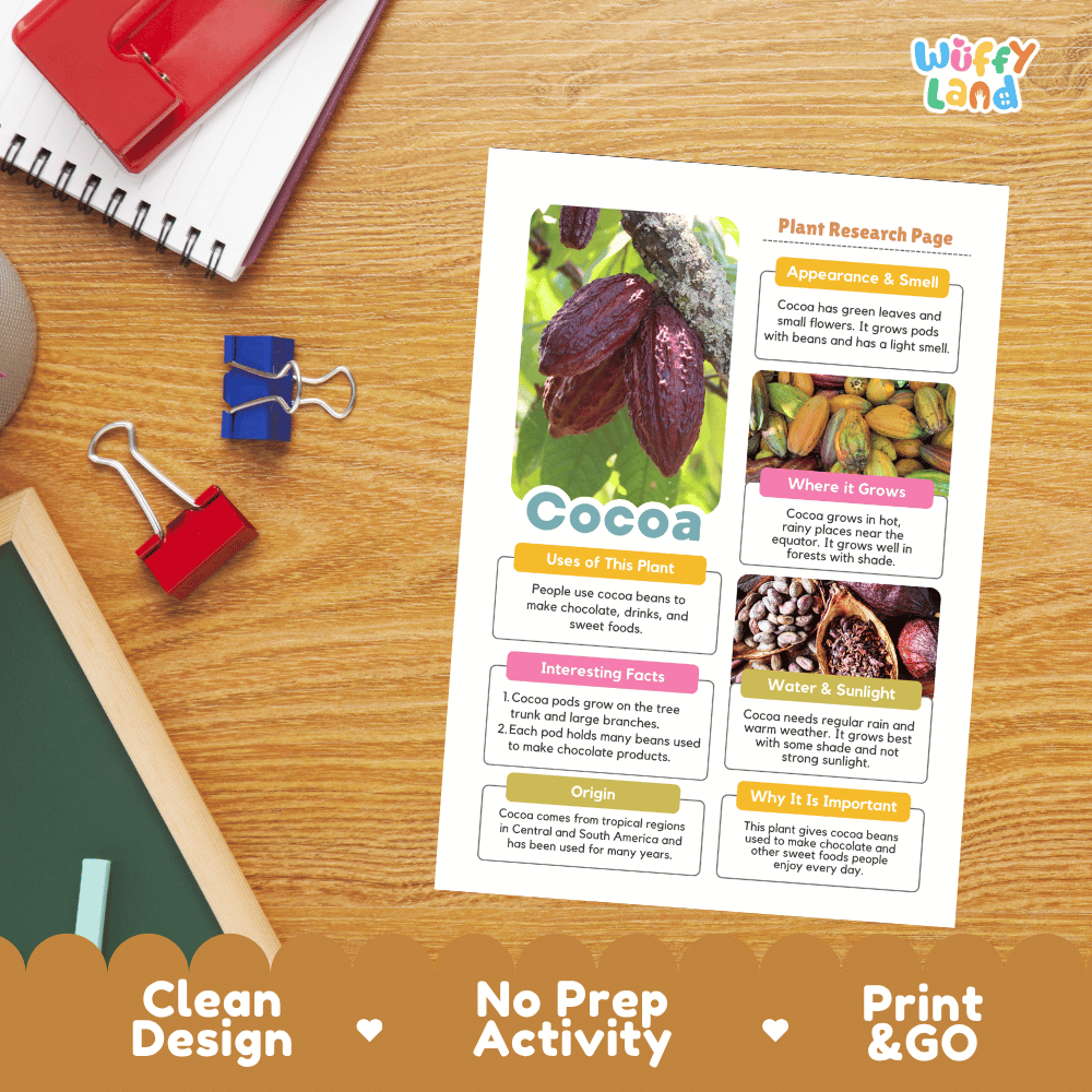 Cocoa Plant Research Page Worksheets and Information Poster