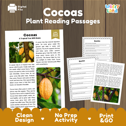 Cocoas Plant Reading Passages and Comprehension Questions Worksheets