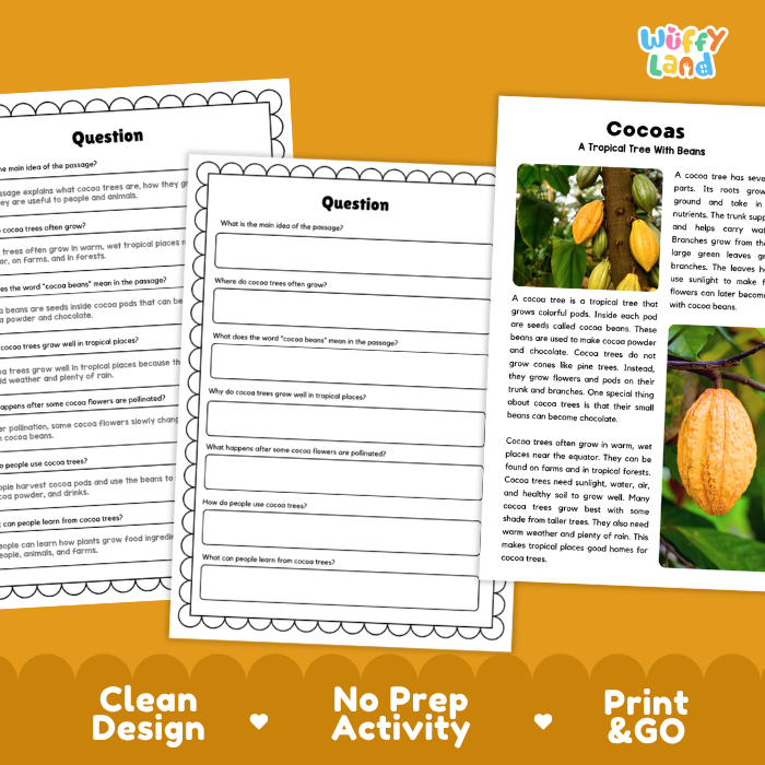 Cocoas Plant Reading Passages and Comprehension Questions Worksheets