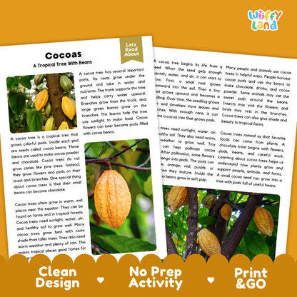 Cocoas Plant Reading Passages and Comprehension Questions Worksheets