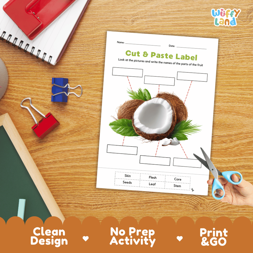 Printable plant biology worksheet showing a realistic opened coconut with blank labeling boxes and a vocabulary word bank for writing practice