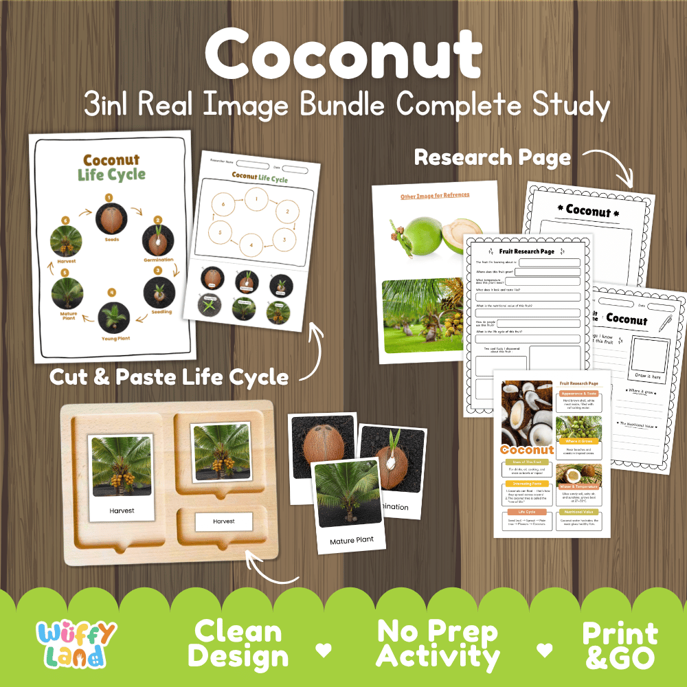Coconut tree life cycle 3in1 real image bundle complete study overview featuring cut and paste worksheets, Montessori 3-part cards, and research pages from Wuffy Land 🥥🌱