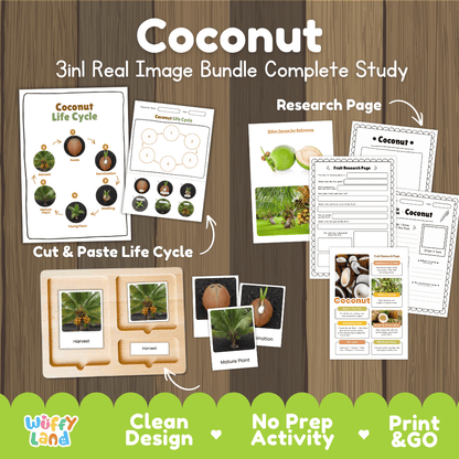 Coconut tree life cycle 3in1 real image bundle complete study overview featuring cut and paste worksheets, Montessori 3-part cards, and research pages from Wuffy Land 🥥🌱