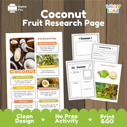 Coconut Fruit Research Page Worksheets and Fact Sheet