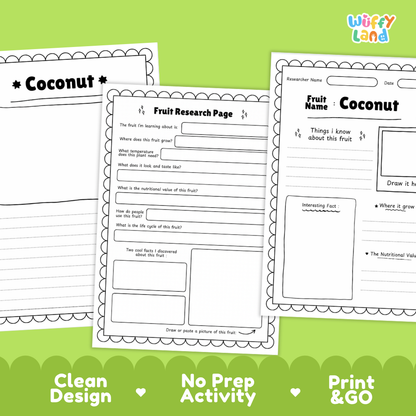 Coconut Fruit Research Page Worksheets and Fact Sheet