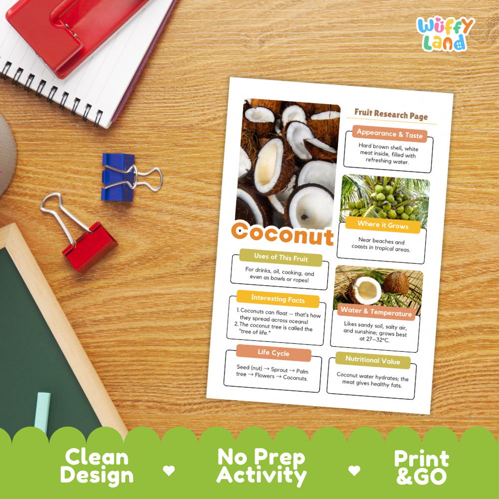 Coconut Fruit Research Page Worksheets and Fact Sheet