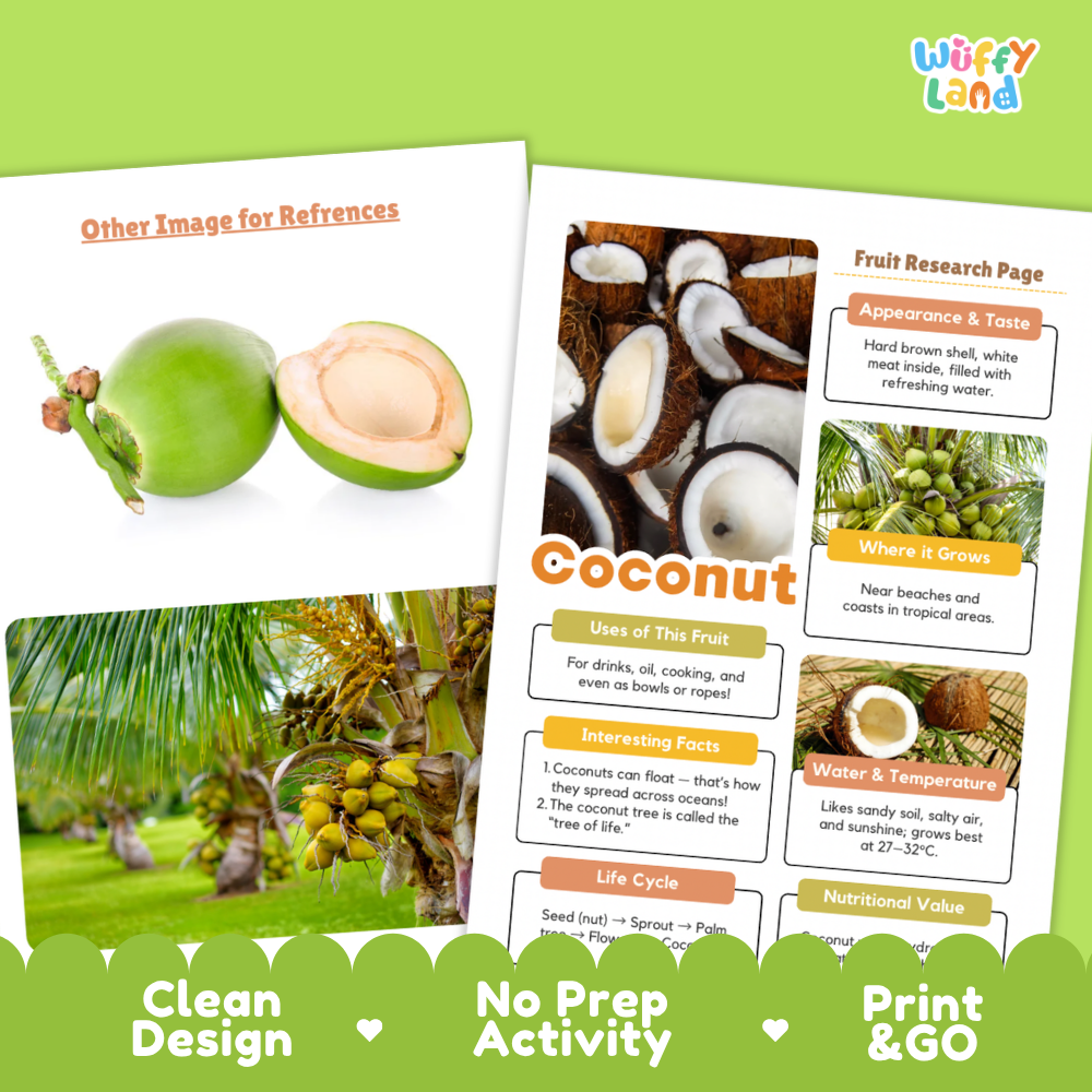 Two printed educational worksheet pages about coconut displayed on a bright green background. The left page shows a whole and halved green coconut with the caption 'Other Image for References.
