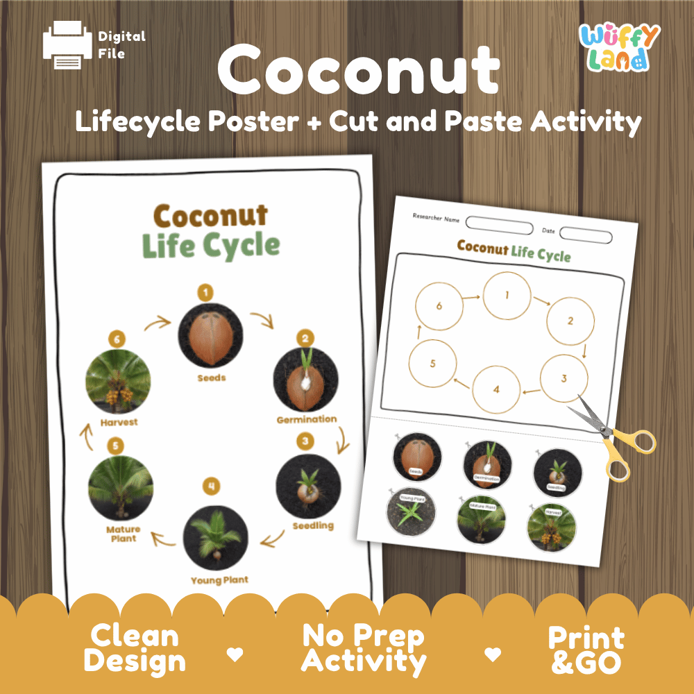 Coconut Lifecycle Poster and Cut and Paste Activity Worksheets | Plant Science Printables