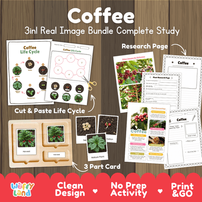 Coffee plant 3in1 real image bundle complete study printable featuring life cycle cut and paste worksheets, Montessori 3-part cards, and research pages