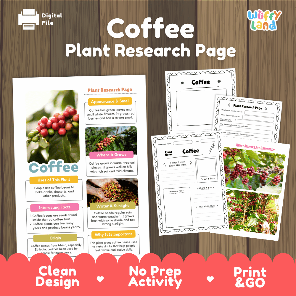 Coffee Plant Research Page Worksheets and Information Poster