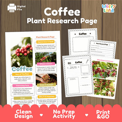 Coffee Plant Research Page Worksheets and Information Poster