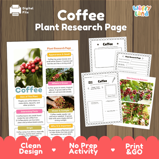 Student plant research page writing worksheets with real red coffee cherries on branches and green leaves reference photos, lined note-taking prompts, and drawing frames