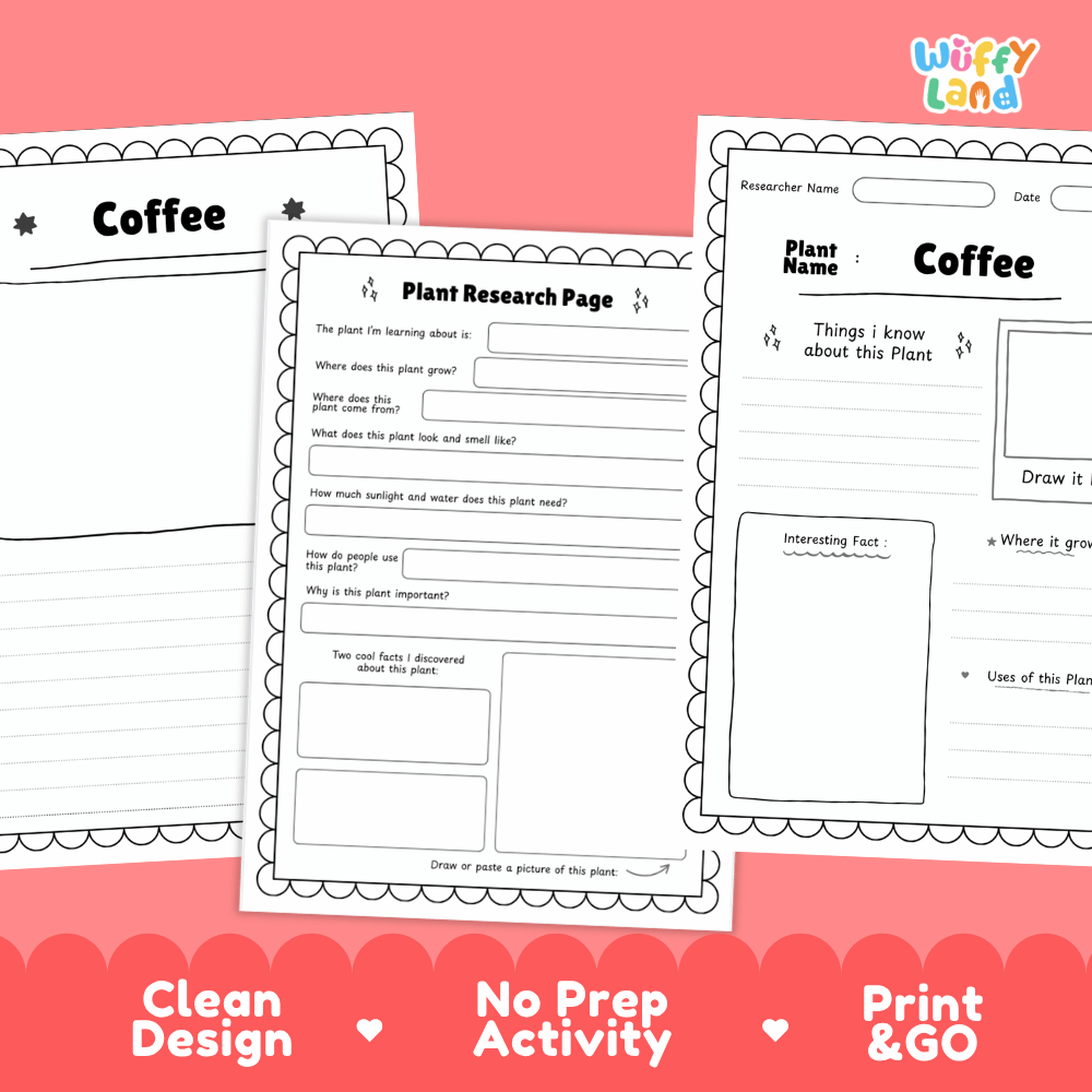 Coffee Plant Research Page Worksheets and Information Poster