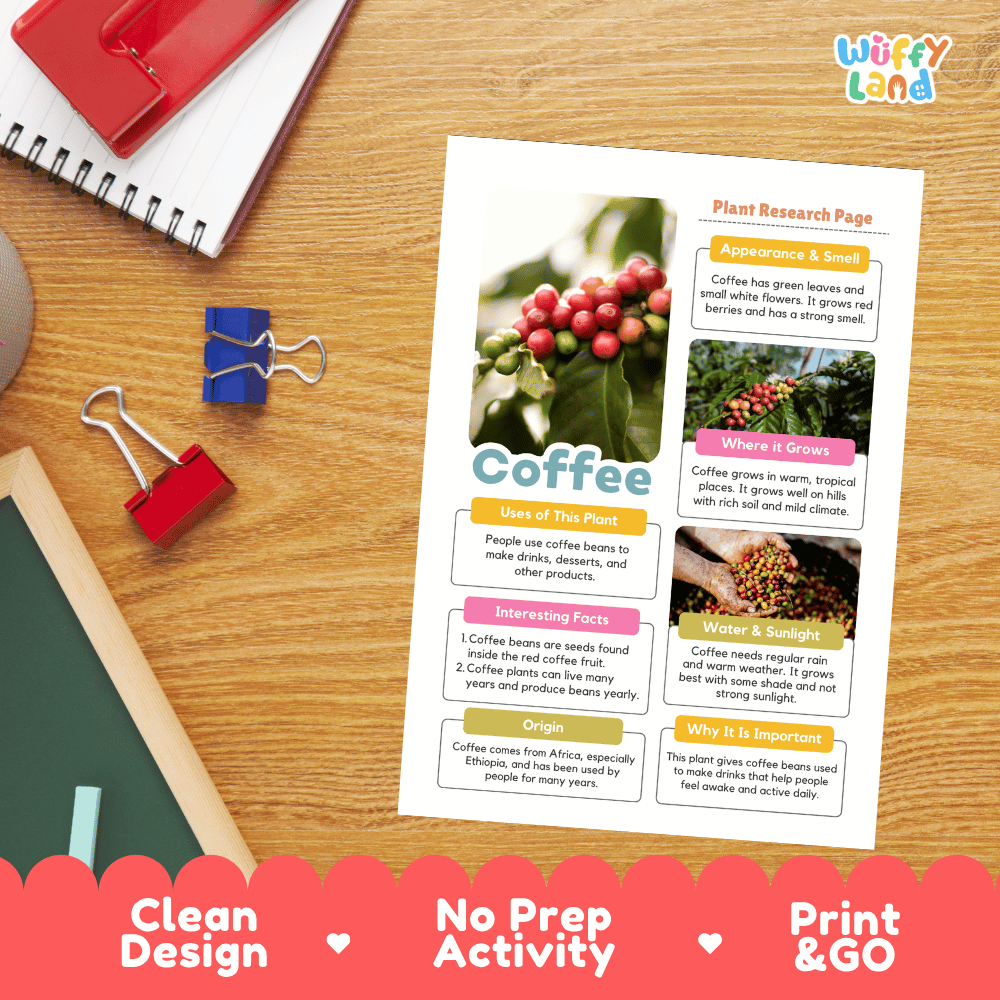Coffee Plant Research Page Worksheets and Information Poster