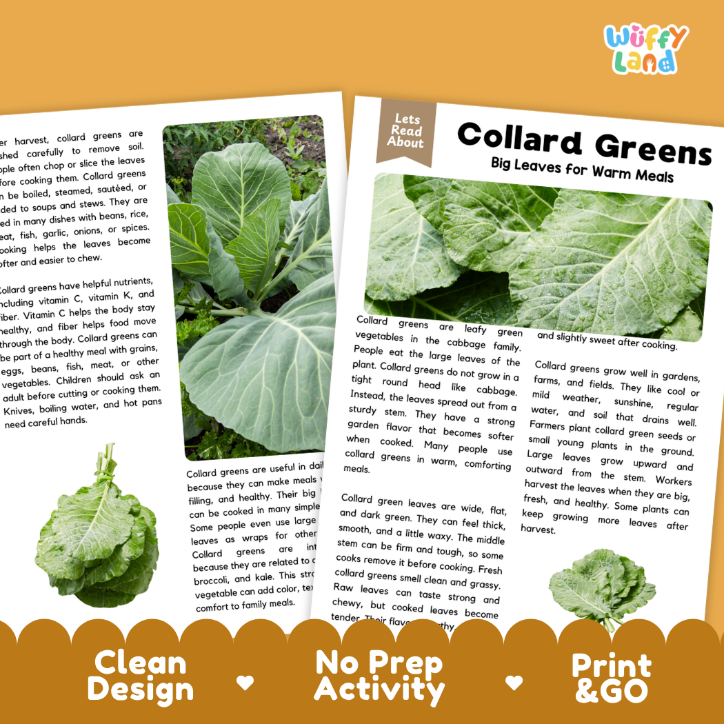 Teacher answer key page showing complete question solutions for collard greens reading comprehension practice