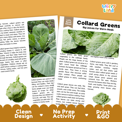 Teacher answer key page showing complete question solutions for collard greens reading comprehension practice