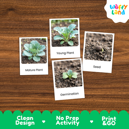 Four educational plant growth cards showing 'Mature Plant', 'Young Plant', 'Germination', and 'Seed' stages, arranged on a brown wood background. The 'Wuffy Land' brand logo is in the top right, and a green banner at the bottom reads 'Clean Design', 'No Prep Activity', and 'Print & GO'.