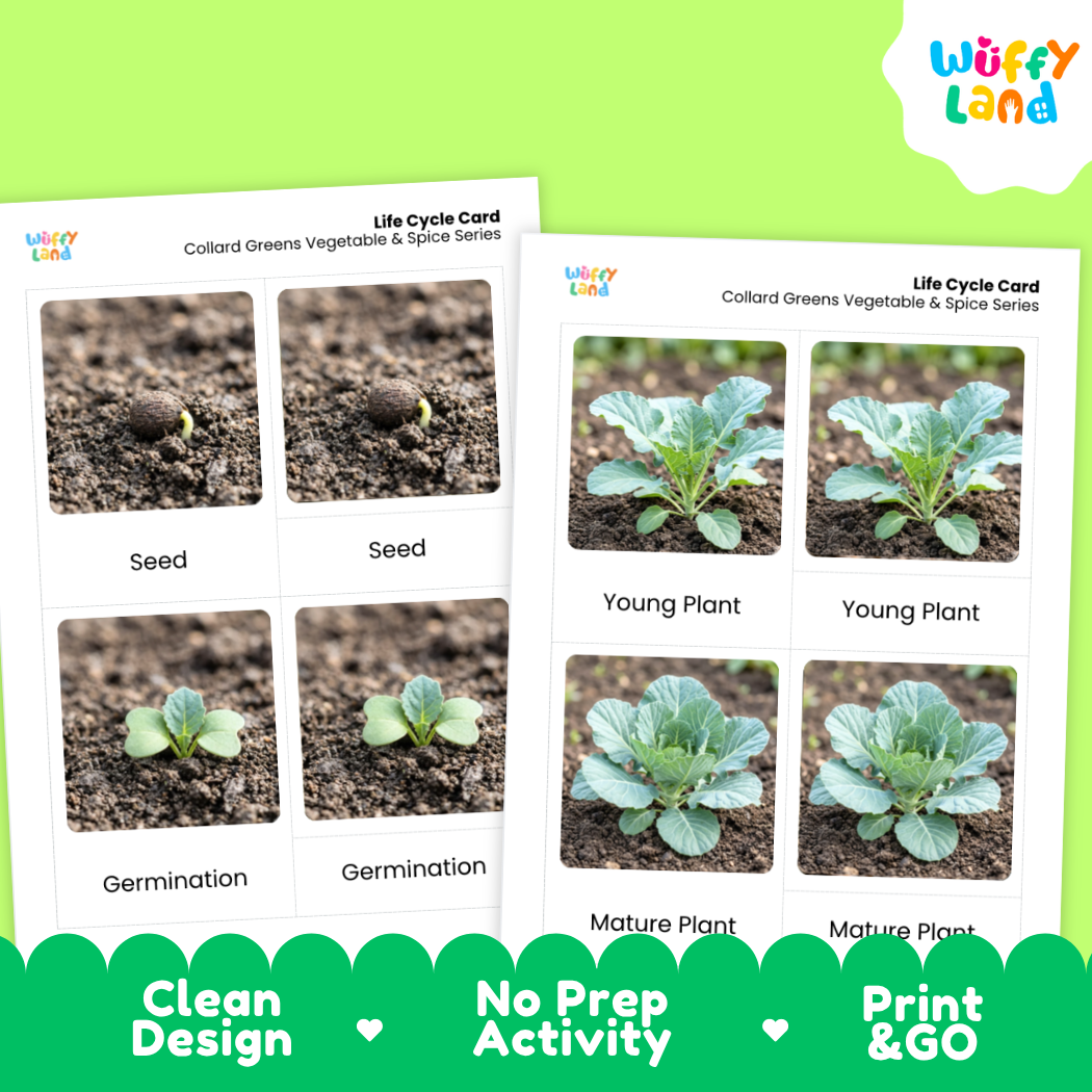 Two printed life cycle cards for collard greens vegetables and spices series shown on a bright green background, with the Wiffy Land logo in the top right and promotional text along the bottom.
