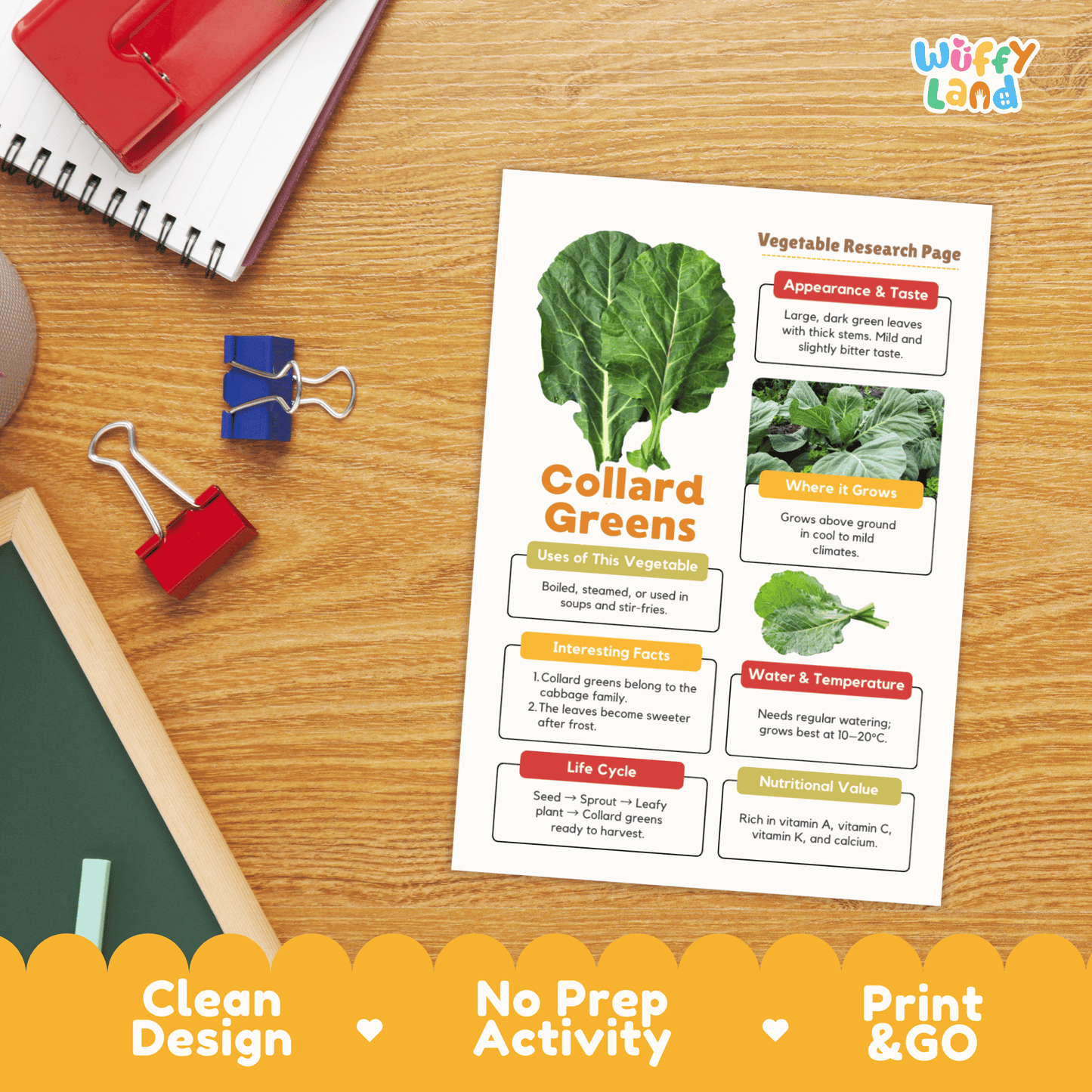 Collard Greens Research Activity Worksheet Science Vegetable Healthy Eating
