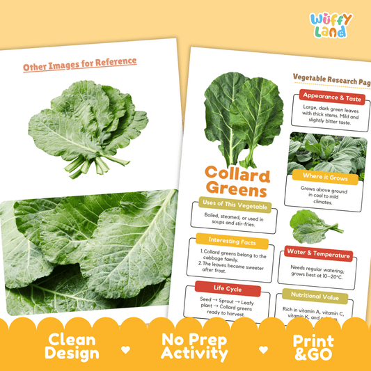 Collard Greens Research Activity Worksheet Science Vegetable Healthy Eating