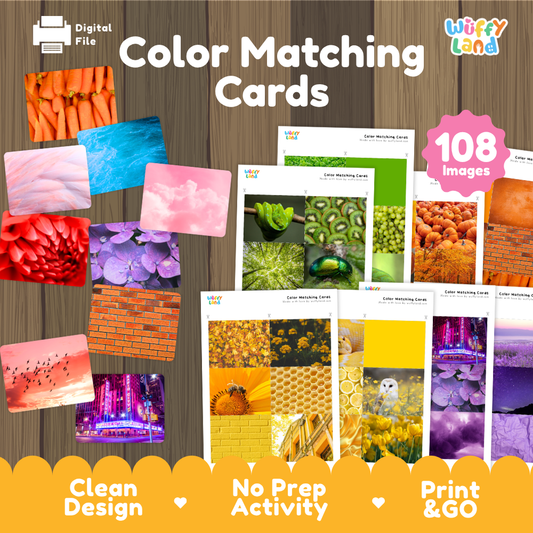 Color matching cards with 108 printable real-life images designed for children to identify, sort and match objects by color