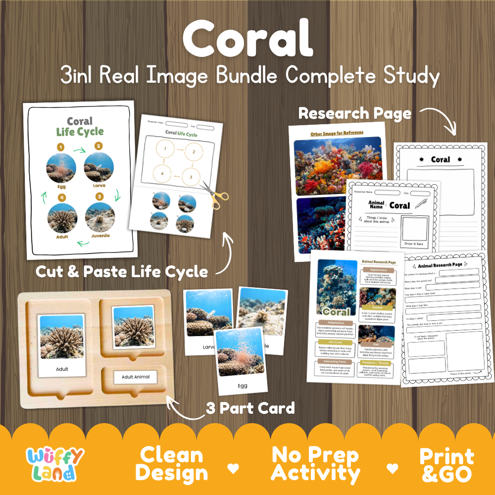 Coral 3-in-1 real image bundle complete study cover showing cut and paste life cycle, 3 part cards, and research pages