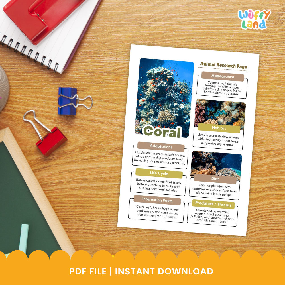 Coral Animal Research Page Printable Worksheets for Early Elementary