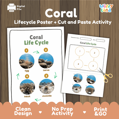 Coral Life Cycle Poster and Cut and Paste Activity Worksheets
