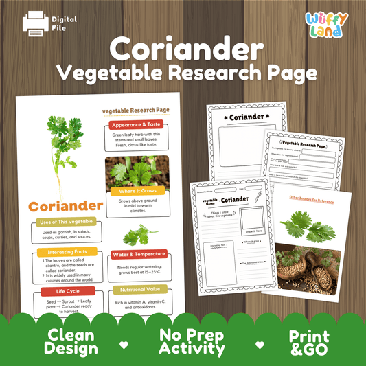 Student vegetable research page writing worksheets with real coriander leaves, seed bowl, and flowering plant photos, lined note-taking prompts, and drawing frames