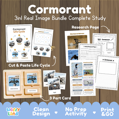 Cormorant 3-in-1 real image bundle complete study cover showing cut and paste life cycle, 3 part cards, and research pages