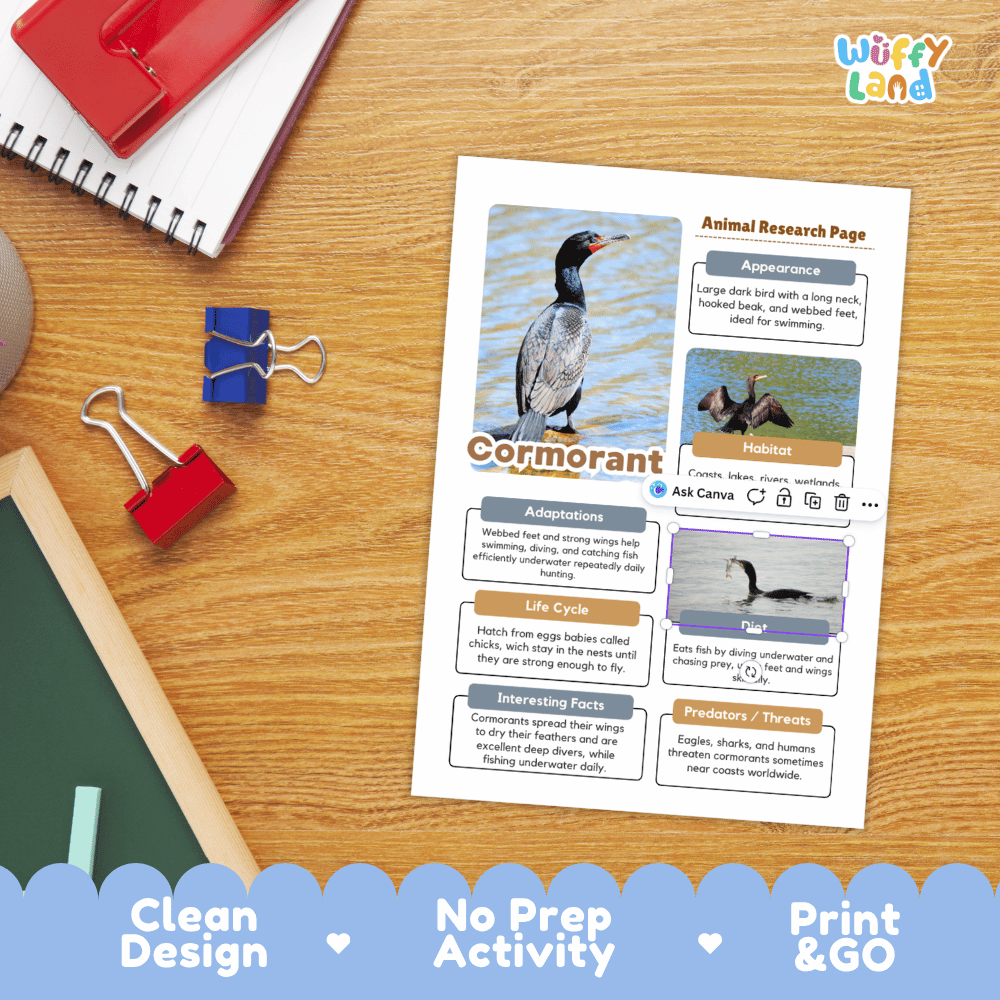 Cormorant Animal Research Page and Worksheets