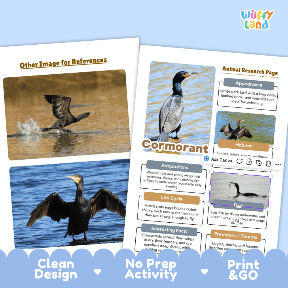 Cormorant Animal Research Page and Worksheets