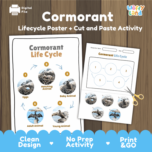 Cormorant life cycle sequencing reference chart and cut and paste student worksheet with 5 developmental stages