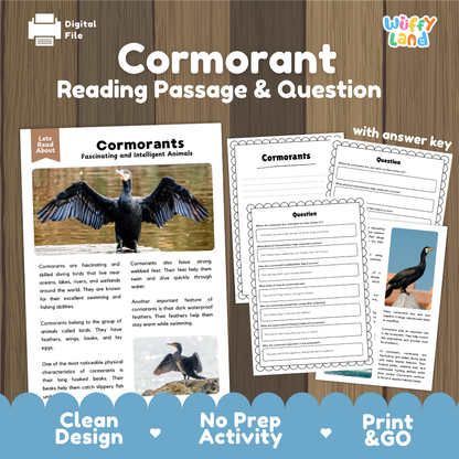 Cormorant Reading Passage and Comprehension Questions Worksheets