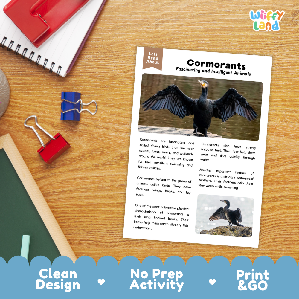 Cormorant Reading Passage and Comprehension Questions Worksheets